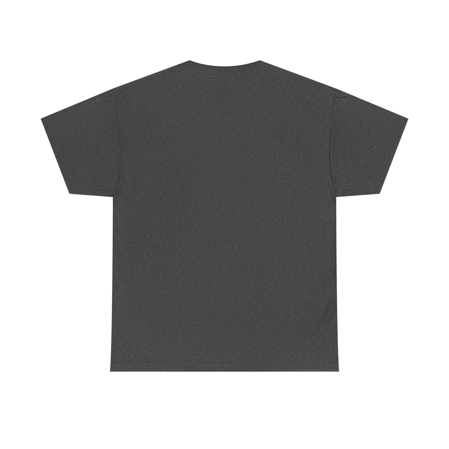 Fencing Practice! Western Cowboy Graphic T-shirt